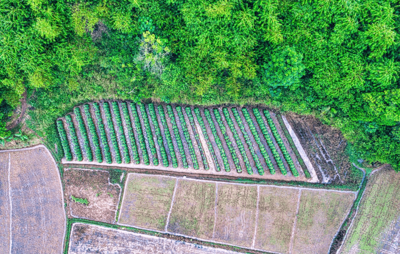 Credit: Tom Fisk | Pexels